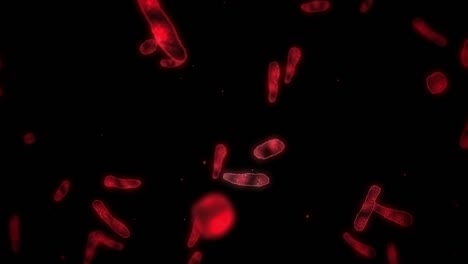 virus cell in linear shape. pathogenic viruses causing infection. loop animation of human virus. bacterial microorganism. viral disease outbreak.