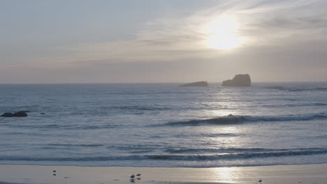 Toma-Estacionaria-De-Gaviotas-Volando-En-Cámara-Lenta-Mientras-Se-Pone-El-Sol-En-El-Fondo-De-La-Playa-De-Elefantes-Marinos-Vista-Point