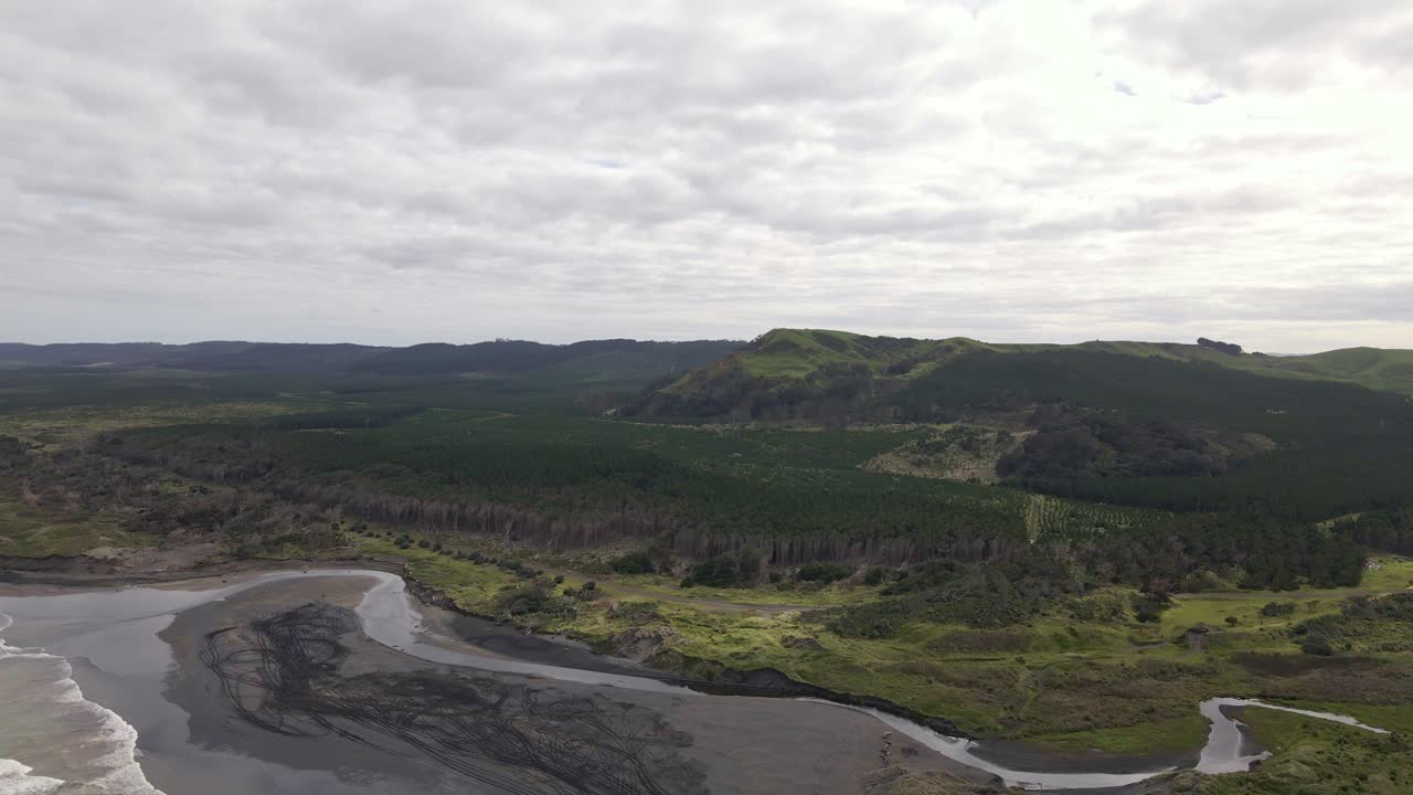toma aérea que muestra la playa de muriwai y el bosque circundante, nueva zelanda