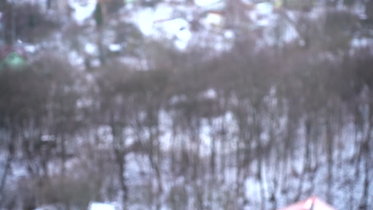 Fallender Schnee vor Bäumen. Zeitlupe