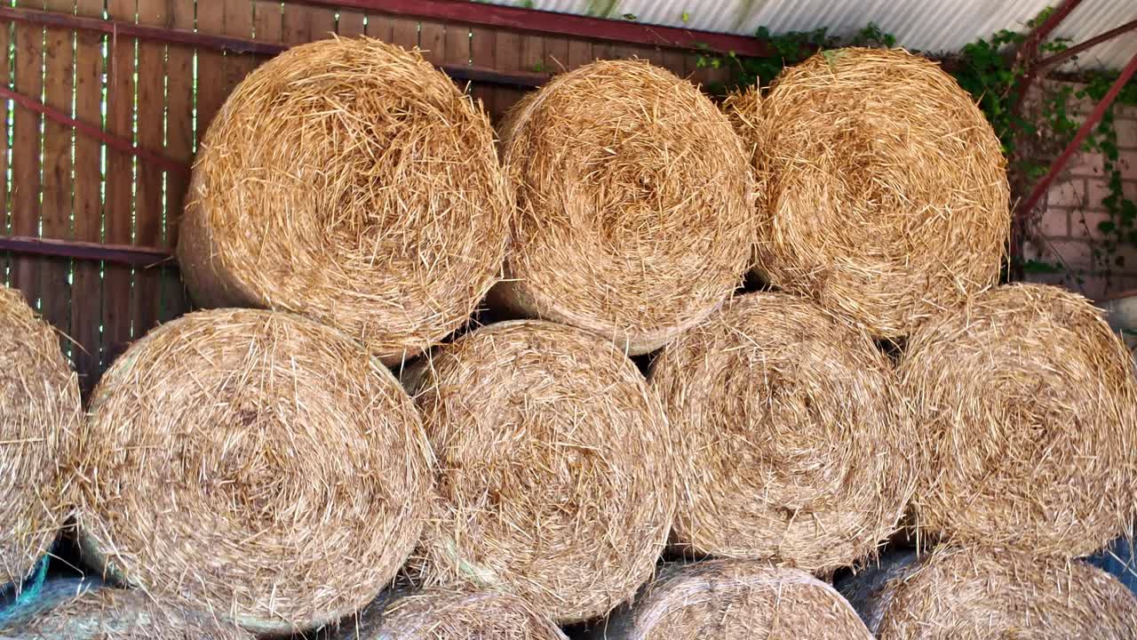 Stacked round hay bales stored in barn with wooden storage area in rural farmyard
