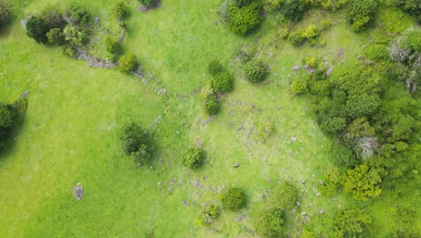 aerial view looking down on a rugged australian hinterland bushland farming property