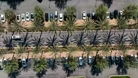 car driving through parking lot with palm trees