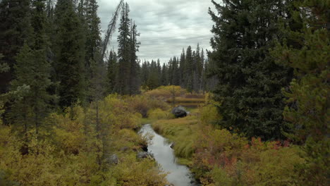 untouched nature scenery in remote british colombia, canada, aerial footage