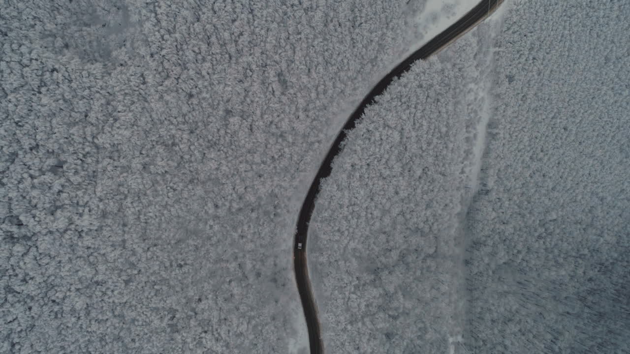 montaña nevada con bosque de pinos