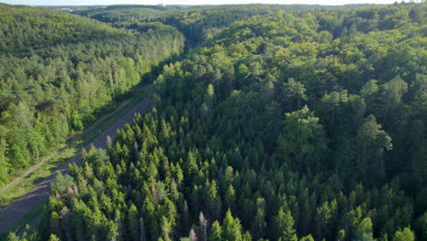 View-Of-Tracks-With-Green-Tropical-Forest-In-Witomino-Countryside,-Poland