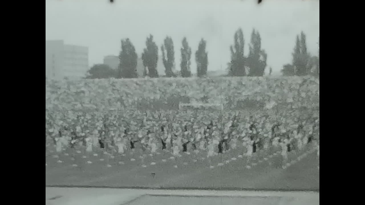 Large Crowd Gathering in a Field