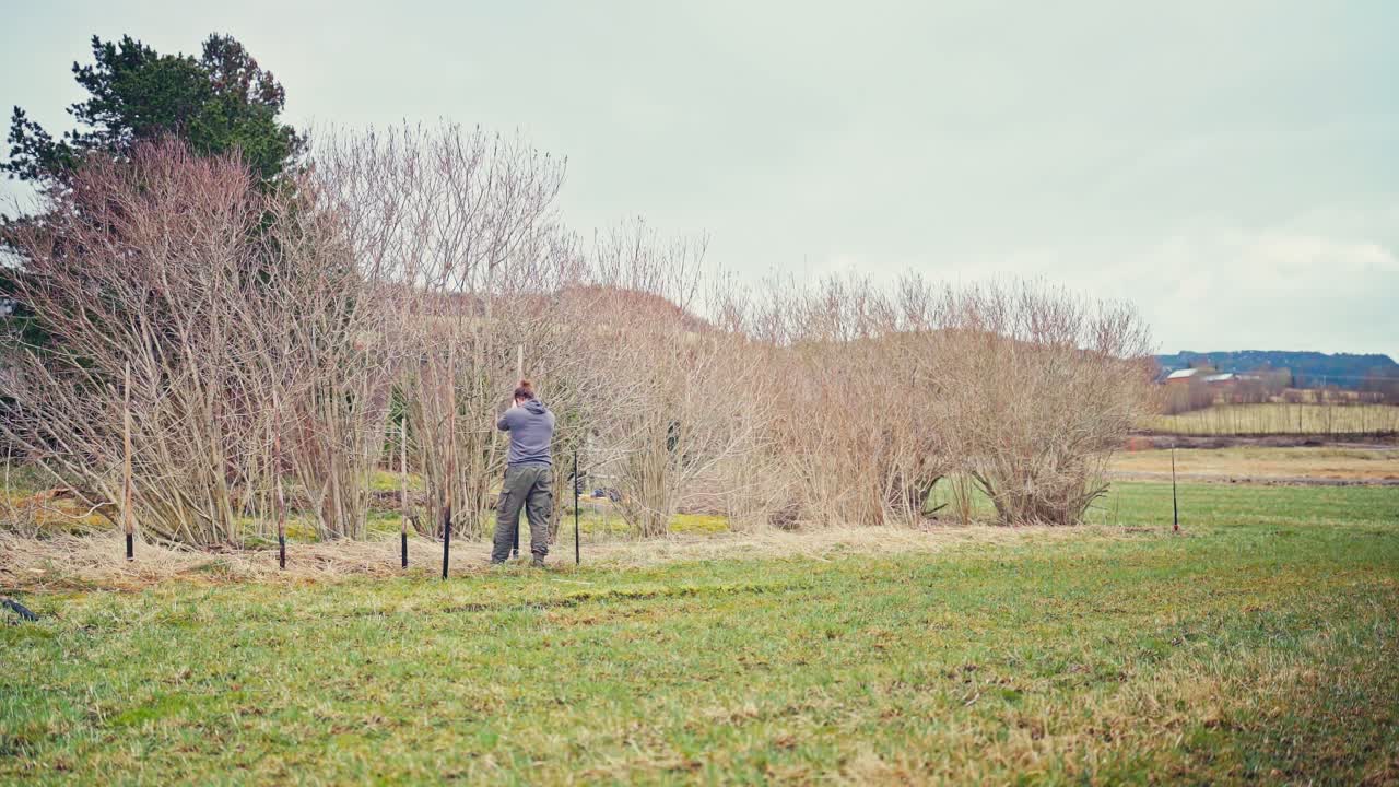 Man Constructing Skigard (Traditional Fence) In Norway - Timelapse