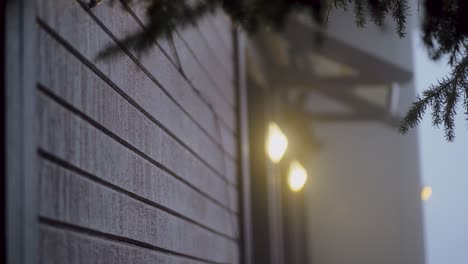 christmas tree branches, lanterns on the background