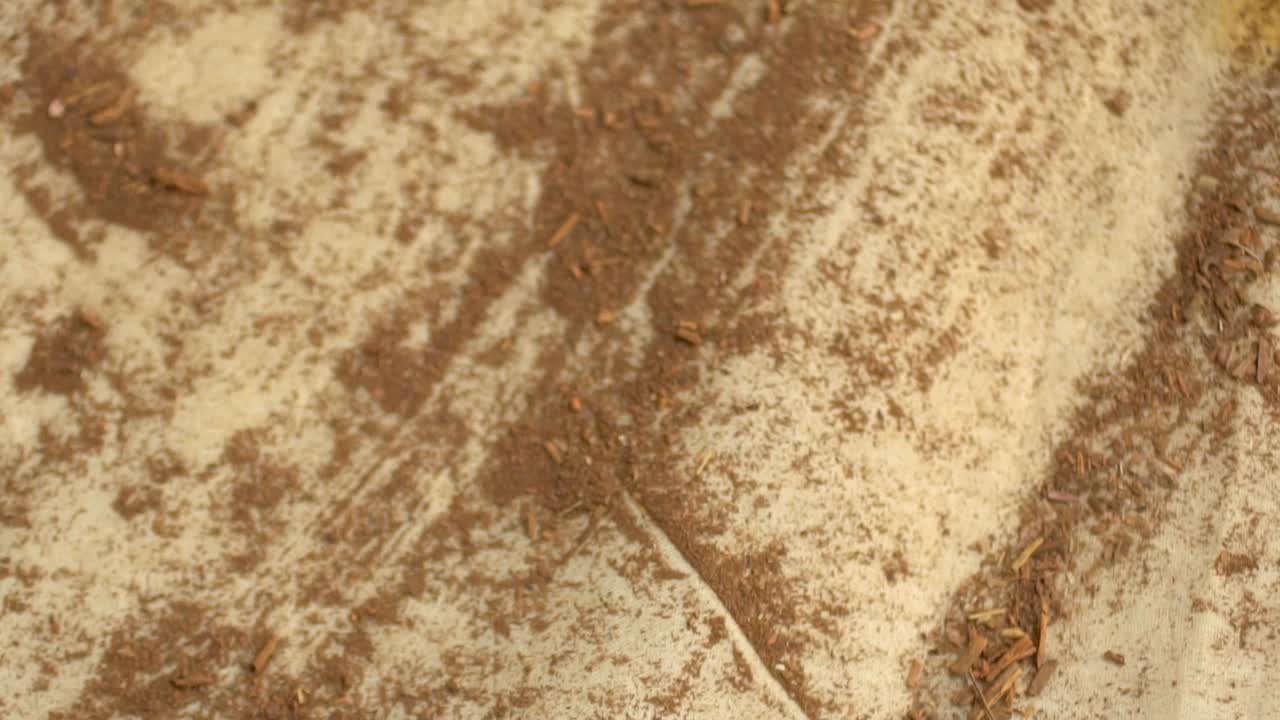 primer plano de polvo de raíz más loco que se usa para teñir textiles orgánicos, cultura tradicional en pakistán