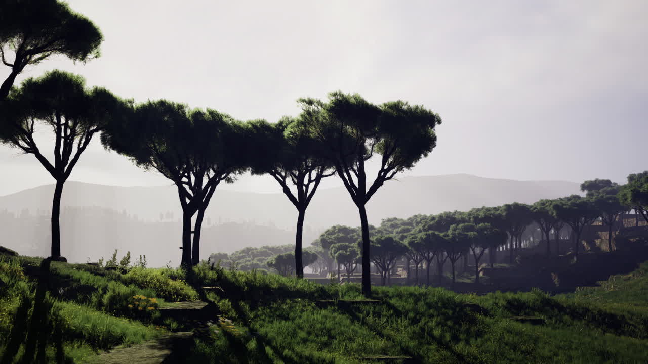 Tranquil sunlit valley reveals lush landscape at dawn