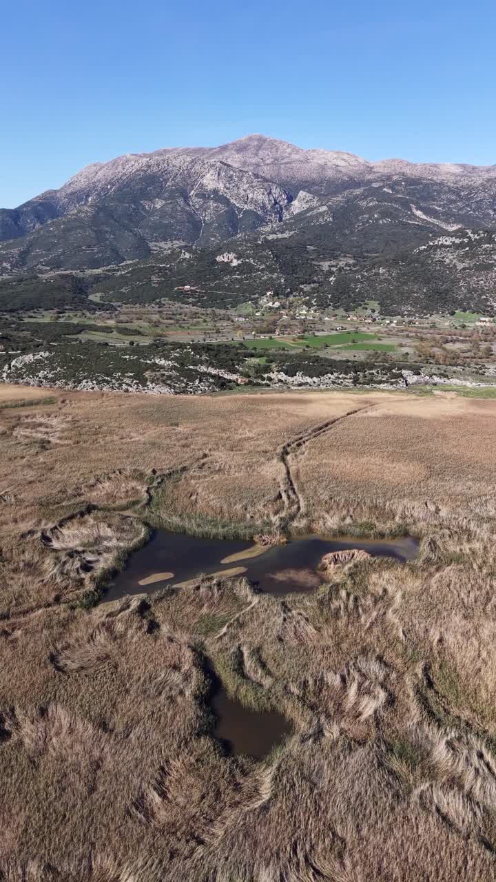 Vista aérea vertical de drone de pântanos com canais de água sinuosos e vegetação de juncos sob uma paisagem montanhosa na região de Epiro, noroeste da Grécia.