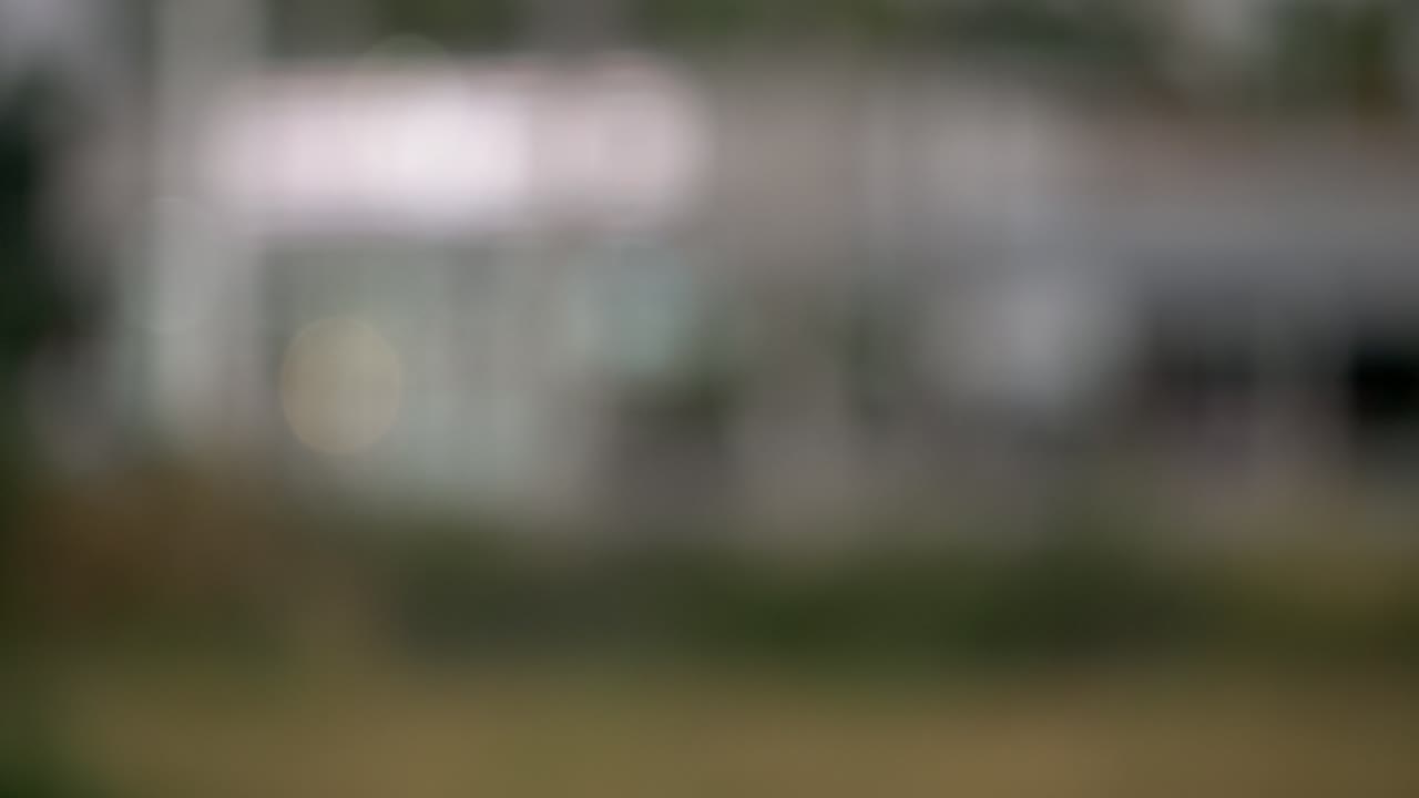 Una vista serena di un fogliame vivace con effetti bokeh che catturano l'essenza della natura