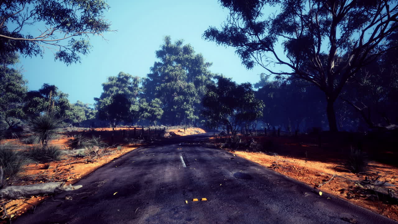 Exploring a serene and empty wilderness road under a bright blue sky