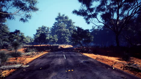 exploring a serene and empty wilderness road under a bright blue sky