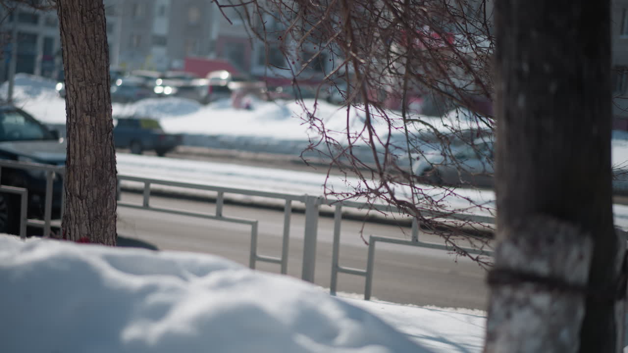Winter street scene with cars moving in opposite lanes behind snowbank, leafless trees and metal railing framing urban roadway, soft bokeh traffic, cold sunlit day, quiet neighborhood motion