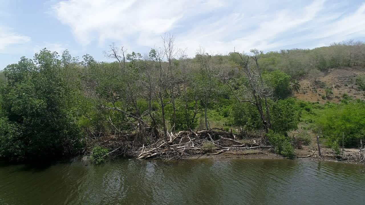 도미니카 공화국의 소코 강 기슭