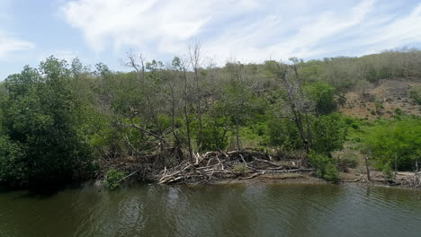 shores of soco river in dominican republic