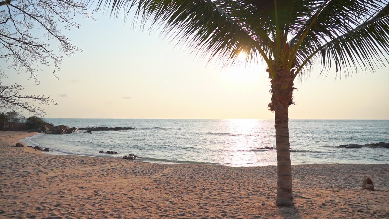 sol escondido detrás de las ramas de las palmeras