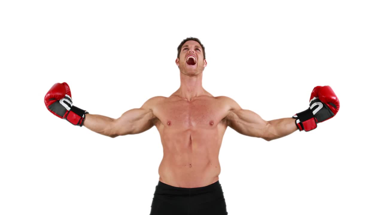 장갑을 입은 심각한 근육 권투 선수 연습