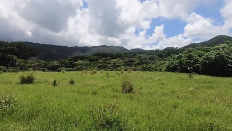 在夏天的一天,在國家公園的空白田野中拍攝