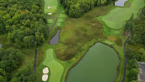 scenic pond and green vegetation in the countryside - aerial drone