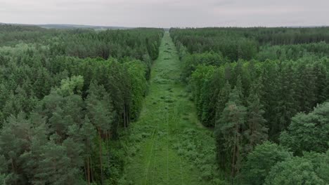 Drone-view-of-high-power-lines-running-through-dense-green-forest