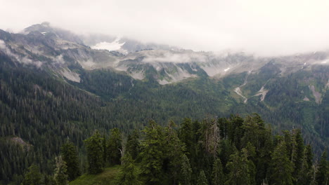 Bosque-Siempre-Verde-En-La-Cima-De-Una-Colina-Con-Tenues-Nubes-Cubiertas-A-Lo-Largo-De-La-Montaña-En-La-Distancia,-Fondo-Natural