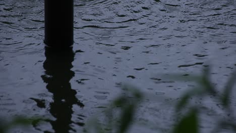 un movimiento lento de gotas de lluvia y hojas verdes cerca del agua el día lluvioso del estanque