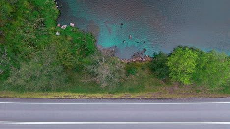 Fix-horizontal-top-shot-of-a-lakeshore-with-rocks-and-cyanobacteria-blue-green-algae-and-a-road