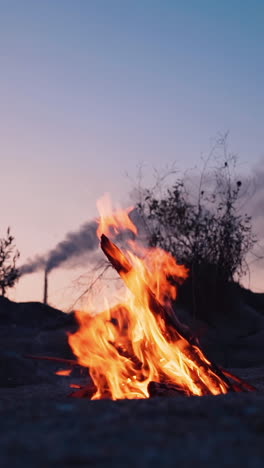 blazing campfire burning at summer evening. burning orange flames in natural calm atmosphere. no people around the fire. camping fire concept. vertical video