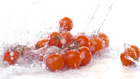 fresh water splash on red cherry tomatos. shot on super slow motion camera 1000 fps