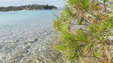 Clean-blue-flag-beaches-of-Halkidiki-Peninsula,-Greece