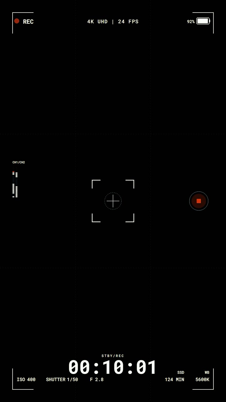 Digital Camera Recording Interface Overlay