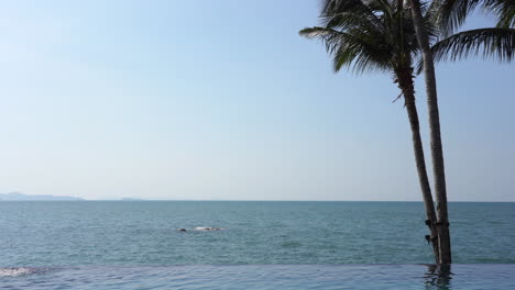 Seascape-during-bright-sunny-day-with-clear-blue-sky-and-peaceful-water-with-palm-trees-on-the-side