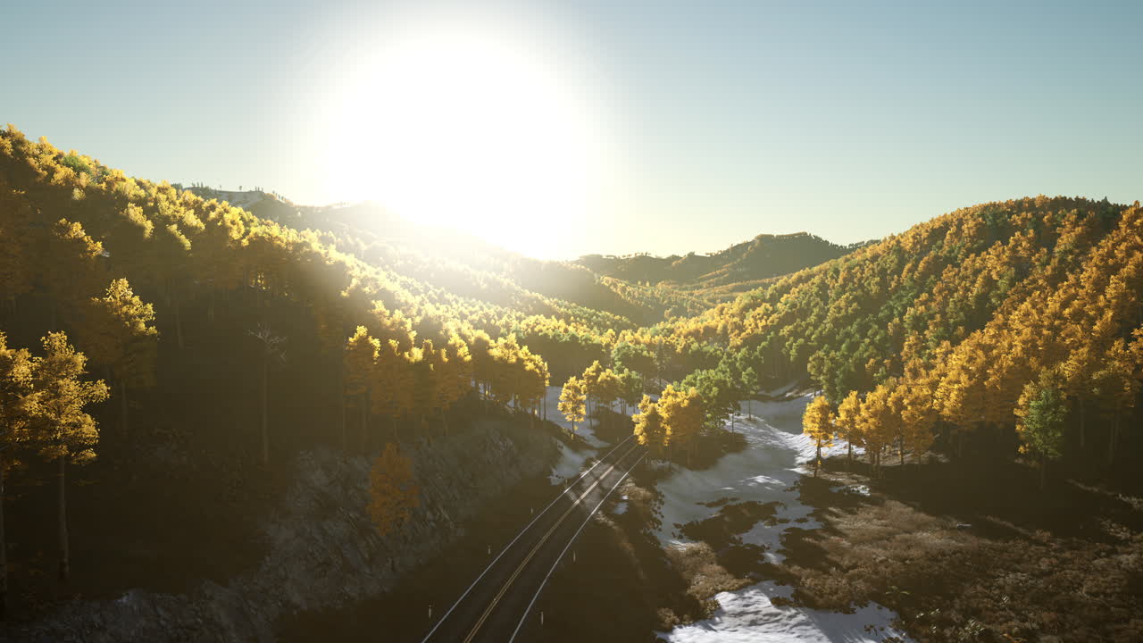 해가 지는 동안 숲을 가로지르는 경치 좋은 도로