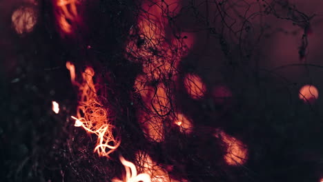 vibrant trails of fire created by spinning steel wool