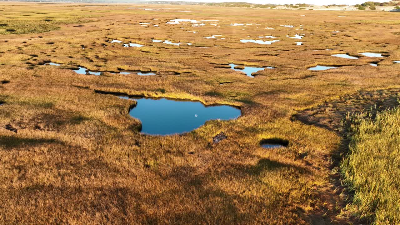 Cape cod salt marsh at sunrise with small ponds and golden grasses, aerial view