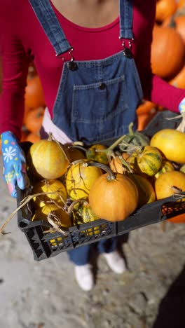 woman holding a crate of pumpkins