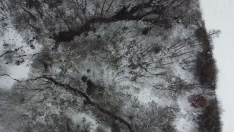 Wald-Mit-Einem-Kleinen-Fluss,-Der-Im-Winter-Ein-Tal-Hinunterfließt