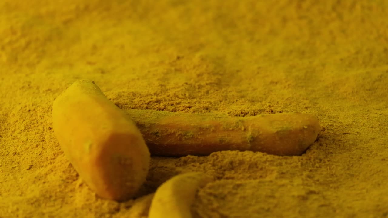 Kurkuma-Rhizom fällt auf gelbes Kurkumapulver