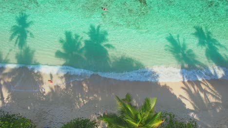 anse forbans 的無人機拍攝在馬赫島的東南海岸,塞舌爾島的海灘