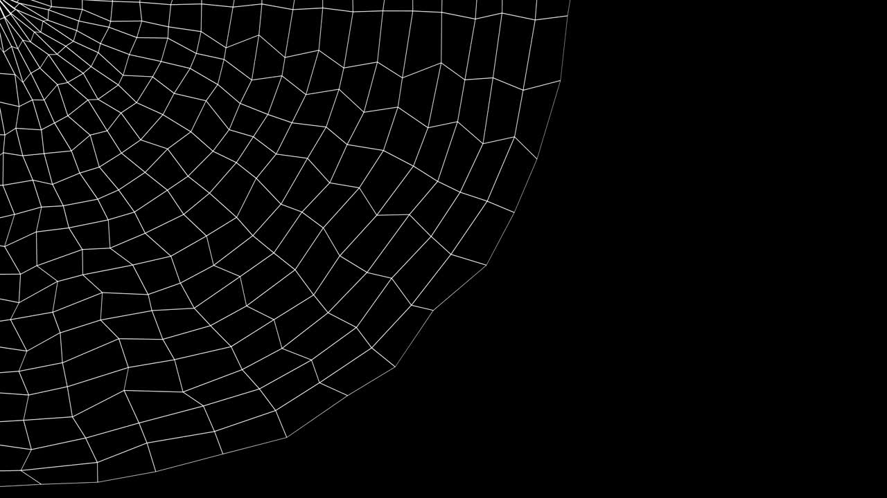 Abstract background - spider's web.