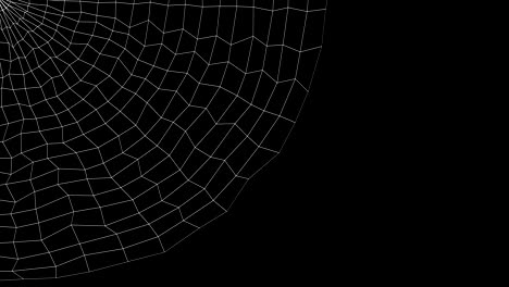 abstract background - spider's web.