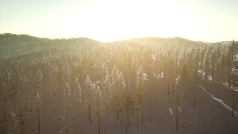 winter landscape glowing by sunlight in the morning