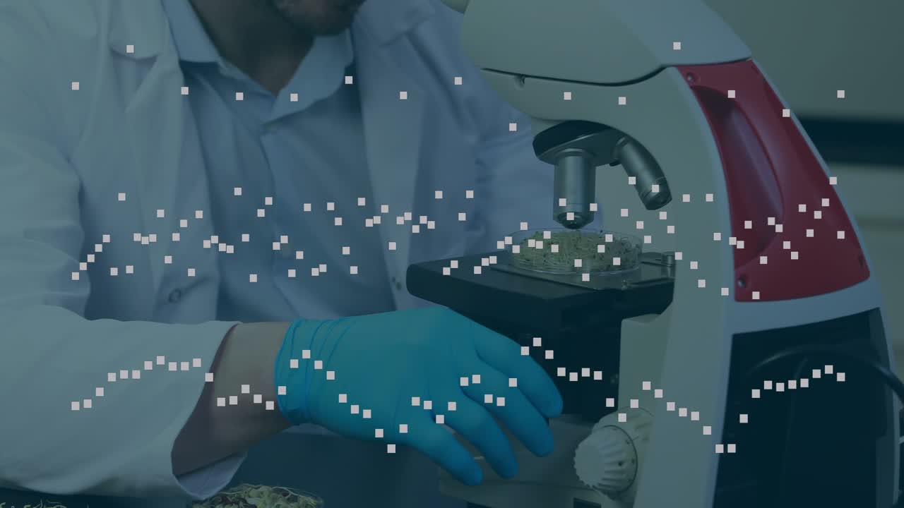 Laboratory scientist placing specimen slide on microscope stage and adjusting focus for analysis