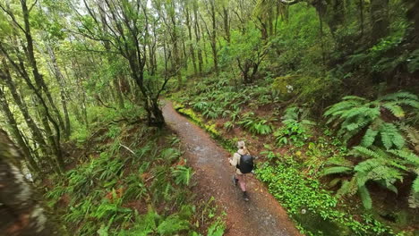 woman hiking on rob roy glacier track through native bush landscape in new zealand