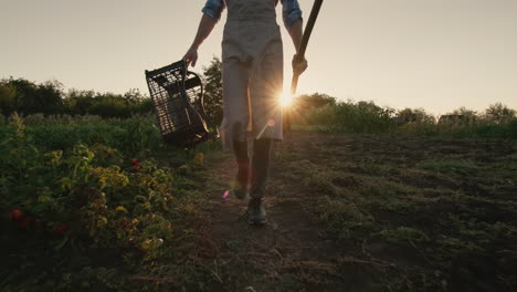A-farmer-with-a-shovel-and-an-empty-box-walks-through-his-field-in-the-sun