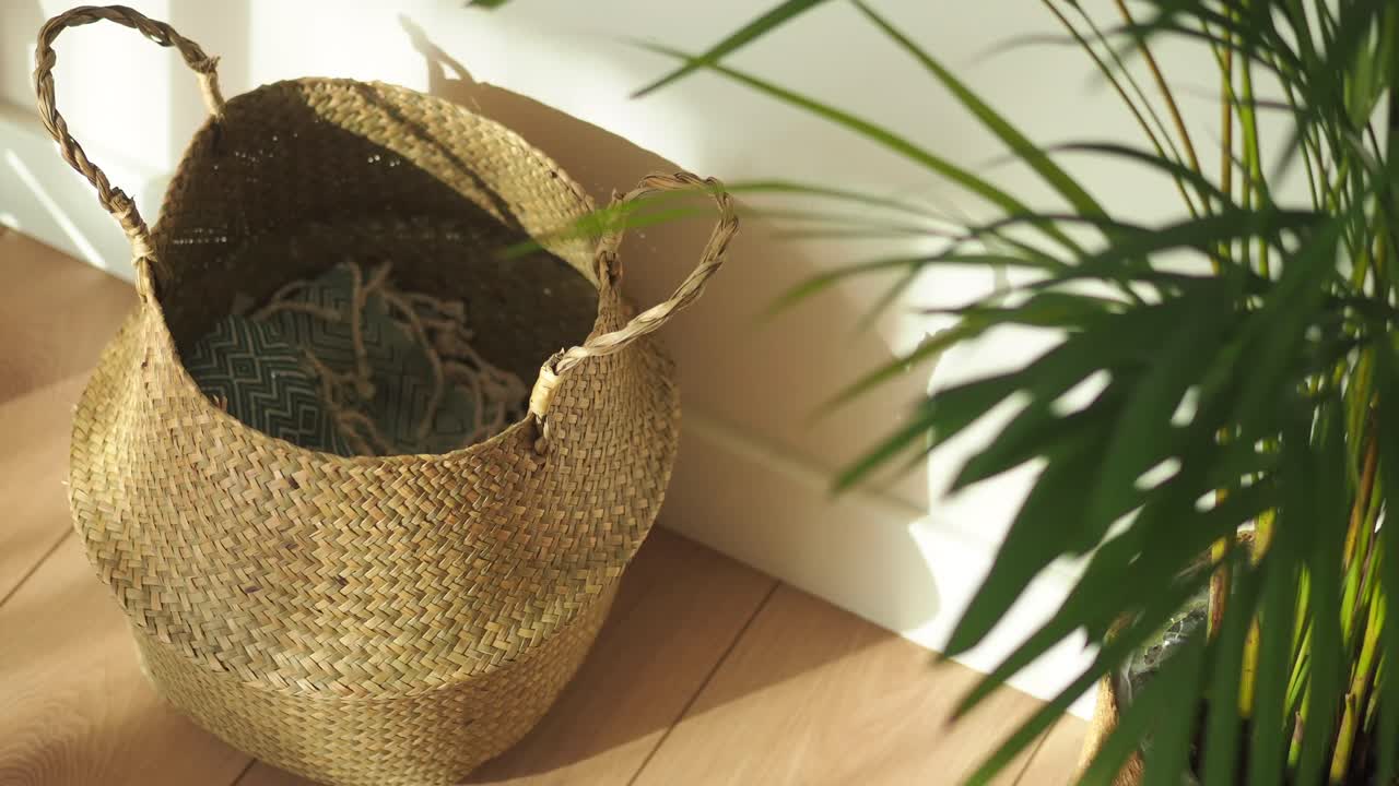 Wicker basket with plant