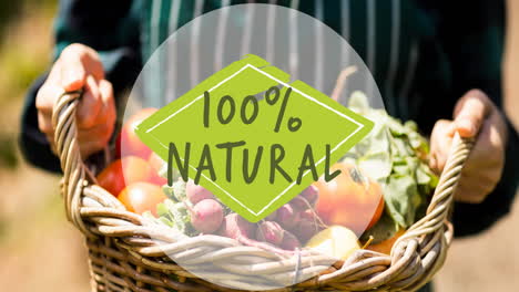 animation of 100 percent natural text in green, over person carrying basket of fresh vegetables